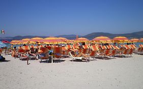 Actinia Accommodation